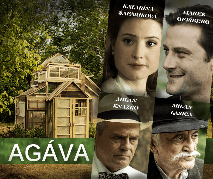 agava550