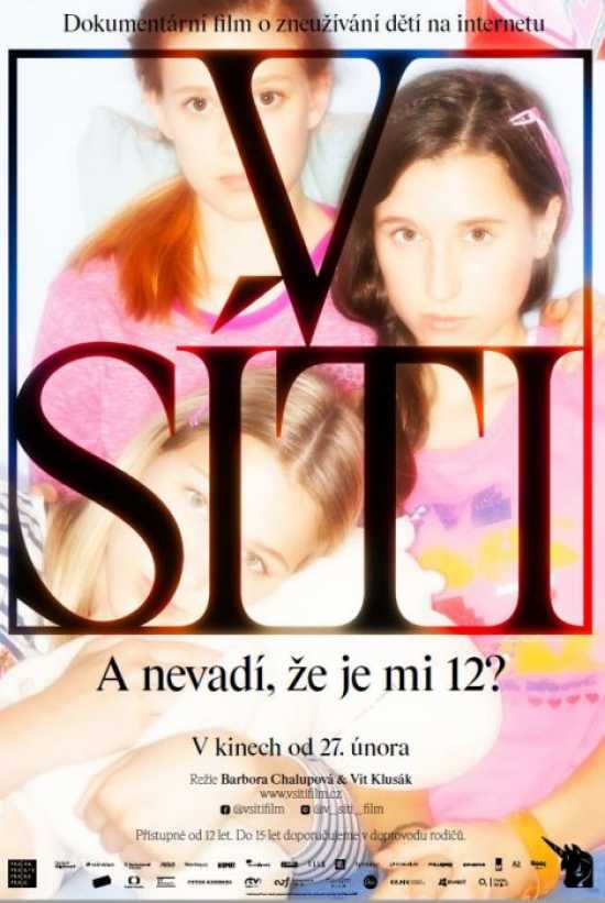 V sieti poster small