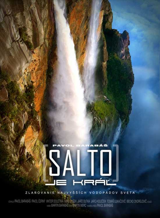 salto je kral poster small